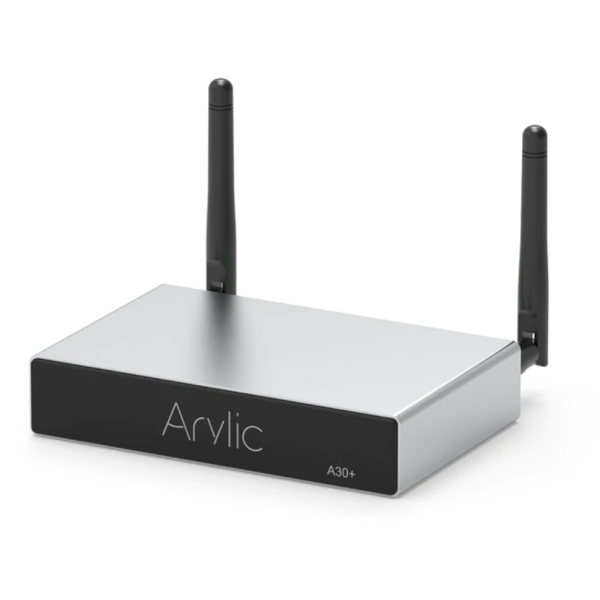 Arylic A30+ 